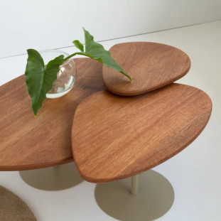 Mesa de Centro Orgânica M