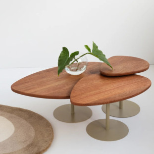 Mesa de Centro Orgânica G