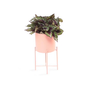 Cachepot com Suporte M Outdoor