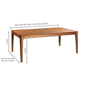 Mesa Basica