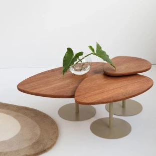 Conjunto Mesas de Centro Orgânicas