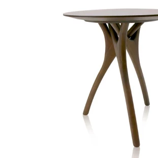 Mesa de Apoio Canas