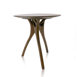 Mesa de Apoio Canas